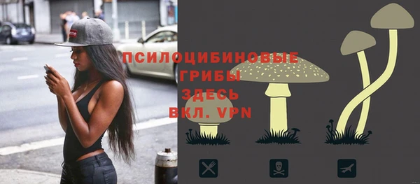 Альфа ПВП Белокуриха