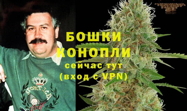 таблы Богданович