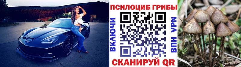 Галлюциногенные грибы ЛСД  купить наркоту  Волосово 